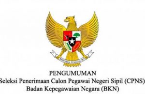 고위 공무원 70% 능력미달 “충격” 전국 14개주 공무원