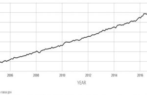 학생리포터-북극곰의 위기는 곧 우리의 위기이다