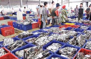 해양수산부, 수도권 최대 현대식 수산시장 착공