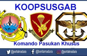 정부ㆍ경찰ㆍ육해공, 3개 대 테러반 운영