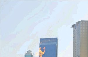 삼성전자 이강현씨 한인동포 첫 성화봉송 주자