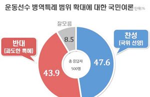 1973년 ‘국위 선양’위해 도입 스포츠 병역 특례…논란의 45년