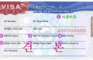 인도네시아 전문직업인에 10년짜리 복수비자 발급 확대