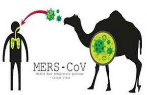 인도네시아, 중동호흡기증후군 메르스 유입 위험하다