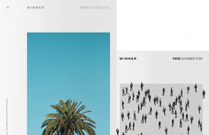 WINNER – FATE NUMBER FOUR