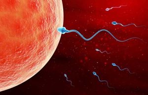 난임 남성 증가 이유-신농씨 한의원