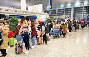 코로나바이러스 여행업 영향 대통령, 컨틴전시 플랜 주문