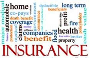 인도네시아 손보시장 15% 성장