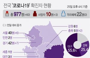 코로나19 한국 감염자 폭증사태 관련 그래프 자료(2020.2.25일현재)