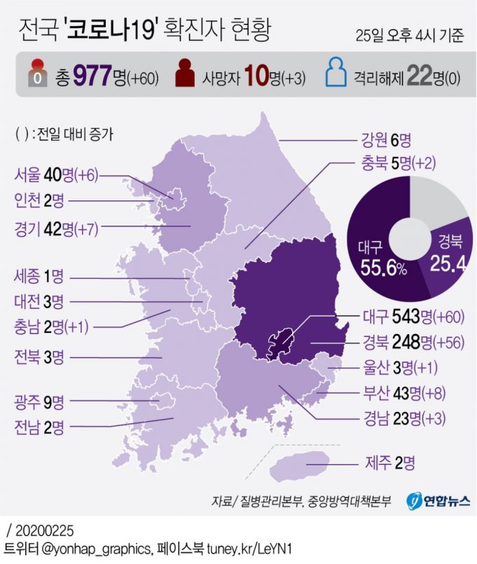 코로나19 한국 감염자 폭증사태 관련 그래프 자료(2020.2.25일현재)
