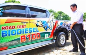 인도네시아, B30 바이오디젤 의무화… 2025년 B100 목표