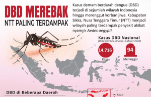코로나19의 ‘뜻밖의 선물’… 치명적 열대병 ‘뎅기열’ 급감