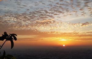 코로나19 역설 자카르타 대기질 ‘좋음’…AQI 197에서 28