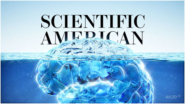 Scientific America 잡지의 Brain 일러스트