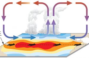 WMO의 경고 “라니냐 가고 엘니뇨 온다…지구기온 기록적 상승”
