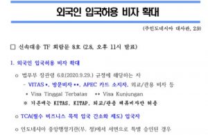외국인 입국허용 비자 확대