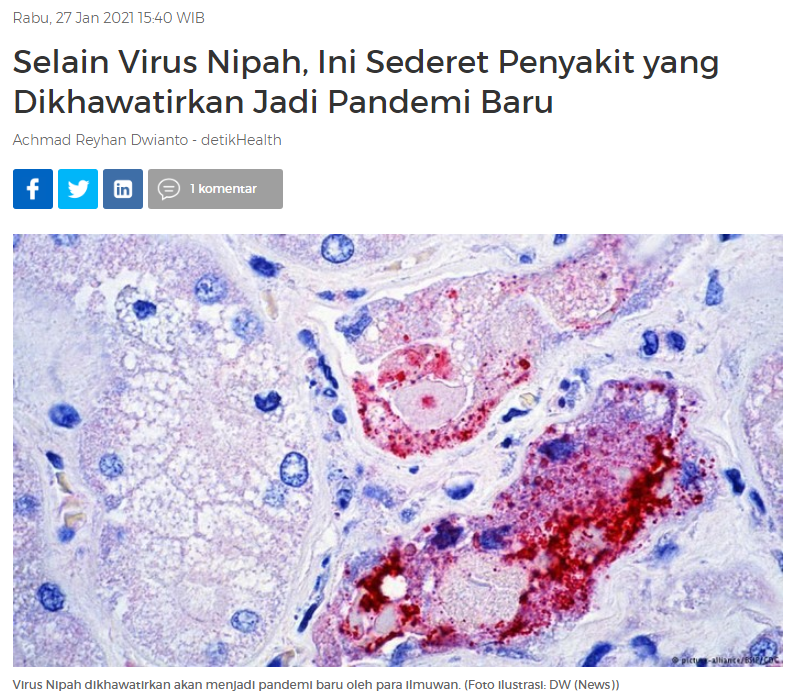 과학자들은 Nipah 바이러스가 새로운 유행병이 될 수 있다고 경고하고 있다.