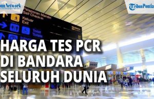 상공회의소와 항공협회, 공항에 저가 PCR 검사 운영 검토