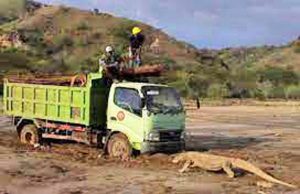 유네스코, 인도네시아 코모도 국립공원 인프라 개발 우려