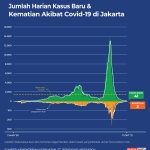 10월11일 자카르타 신규 확진자