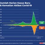 9월12일 신규확진자