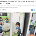 a2-12세 미만 백신접종 계획