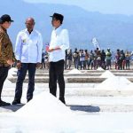 조코위 대통령 소금 생산현장 방문