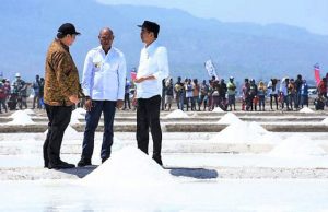 식음료 산업, 국산 소금 사용 품질 논란… 산업부, 증거 제공 요구