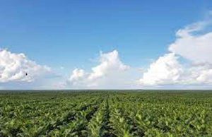 인도네시아, UN과 손잡고 ‘친환경 산업단지’ 개발 가속