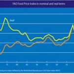세계식량가격지수