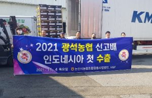 인도네시아에 ’논산 배’ 수출