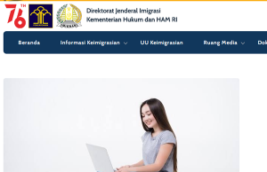전자 체류 허가 서비스 솔루션