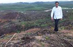 북부 칼리만탄에 세계 최대 녹색산업단지 조성