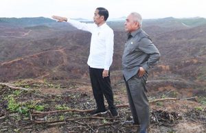 부동산 개발사 신수도권 ‘사냥’ 시작