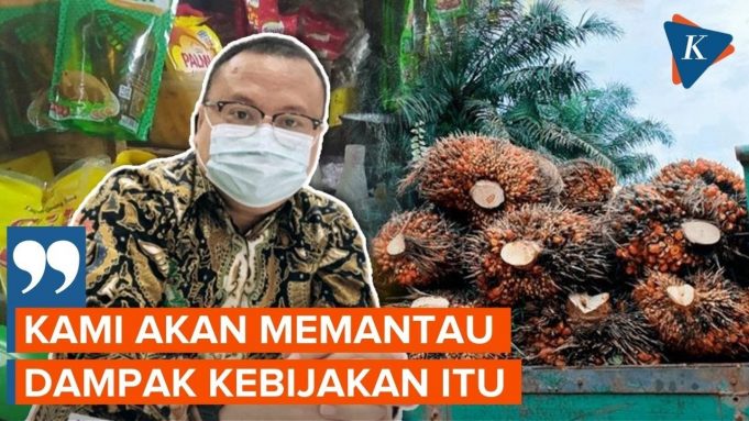 4월 28일부터 식용유와 CPO 수출 금지는 왜?