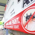 singapore dengue