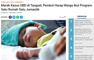 남부 땅어랑 뎅기열 환자 급증