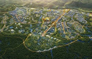 신수도 지역 토착민 산림은