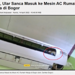 에어콘에서 뱀나와-