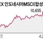 인도네시아 ETF 수익률