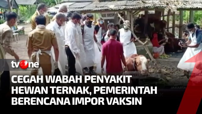 구제역 전국에서 발병… 가축 구제역 대응 태스크포스 3단계 조치 발령