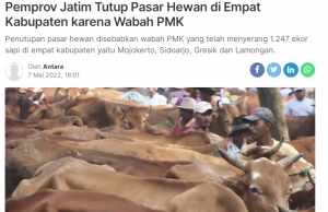 구제역으로 인도네시아산 가축 수입 중단