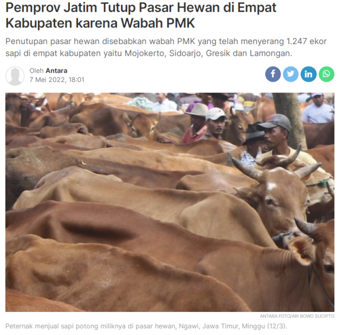 구제역으로 인도네시아산 가축 수입 중단