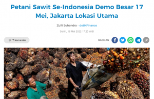 대검찰청, 팜유 농장 불법 경작과 돈세탁 손봐