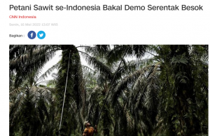 인도네시아 팜유 농민 단체 “팜유 수출 금지 해제” 전국 시위