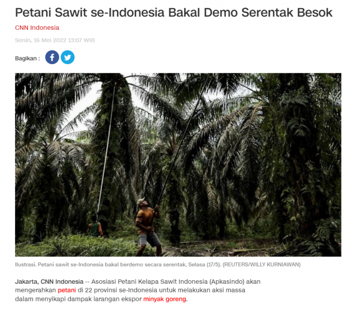 인도네시아 팜유 농민 단체 “팜유 수출 금지 해제” 전국 시위