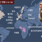 원숭이 두창 발생국가