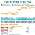 6월20일 코로나19 그래프