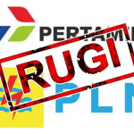 Pertamina PLN