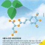 Pubchem, 과학동아 제공